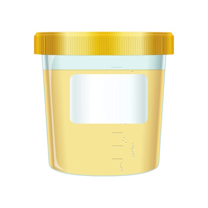 Camel urine 500ml Oasis Milk