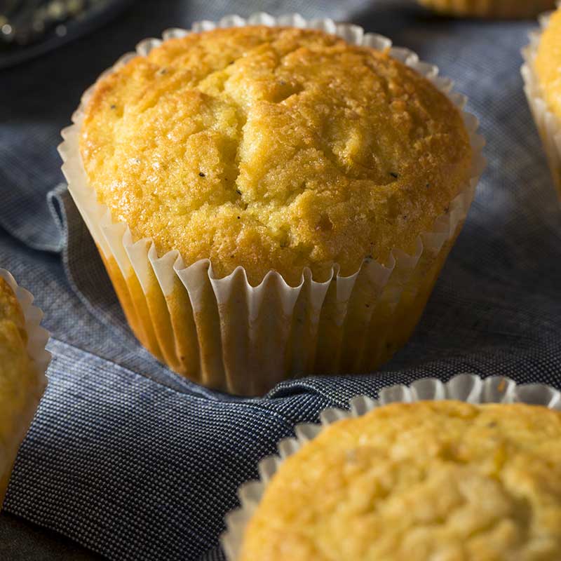 Muffins made with camel milk Oasis Milk